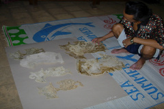 Dscn5792